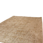 Amber Lewis x Loloi Alie Rug (13 ft 6 in x 9 ft 6 in)