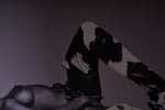 Michel Comte Iman Photograph