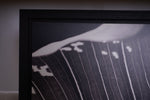 PIETRO DE FILIPPI Leaves Photograph