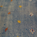 Handmade Tribal Gabbeh Carpet (9 ft 6 in x 5 ft 9 in)