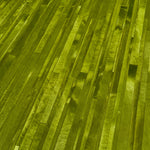 Kyle Bunting Jet Stream Hide Carpet Designed by Neri & Hu (9' x 10')