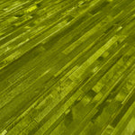 Kyle Bunting Jet Stream Hide Carpet Designed by Neri & Hu (9' x 10')