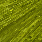 Kyle Bunting Jet Stream Hide Carpet Designed by Neri & Hu (9' x 10')