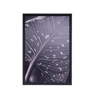 PIETRO DE FILIPPI Leaves Photograph