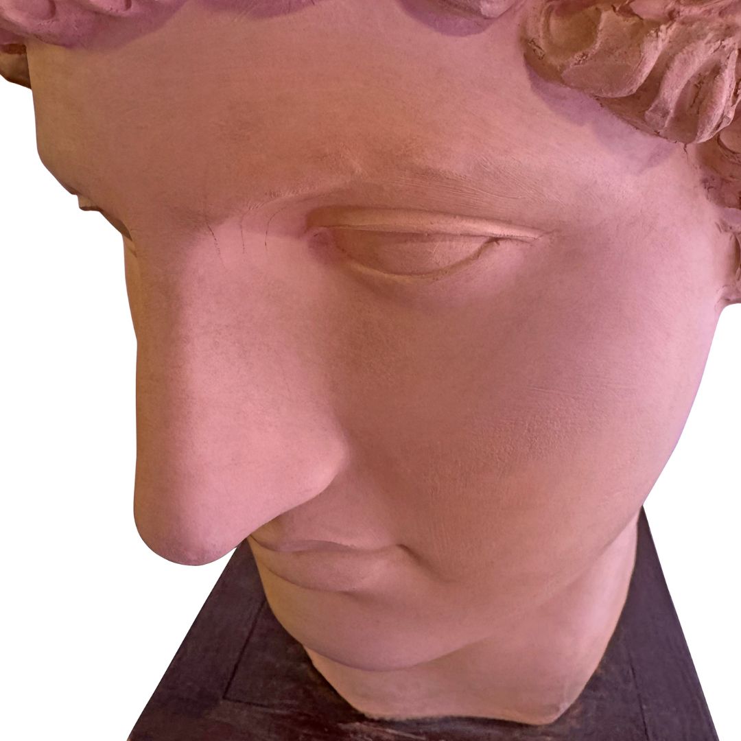 Vintage Terracotta Bust
