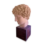 Vintage Terracotta Bust