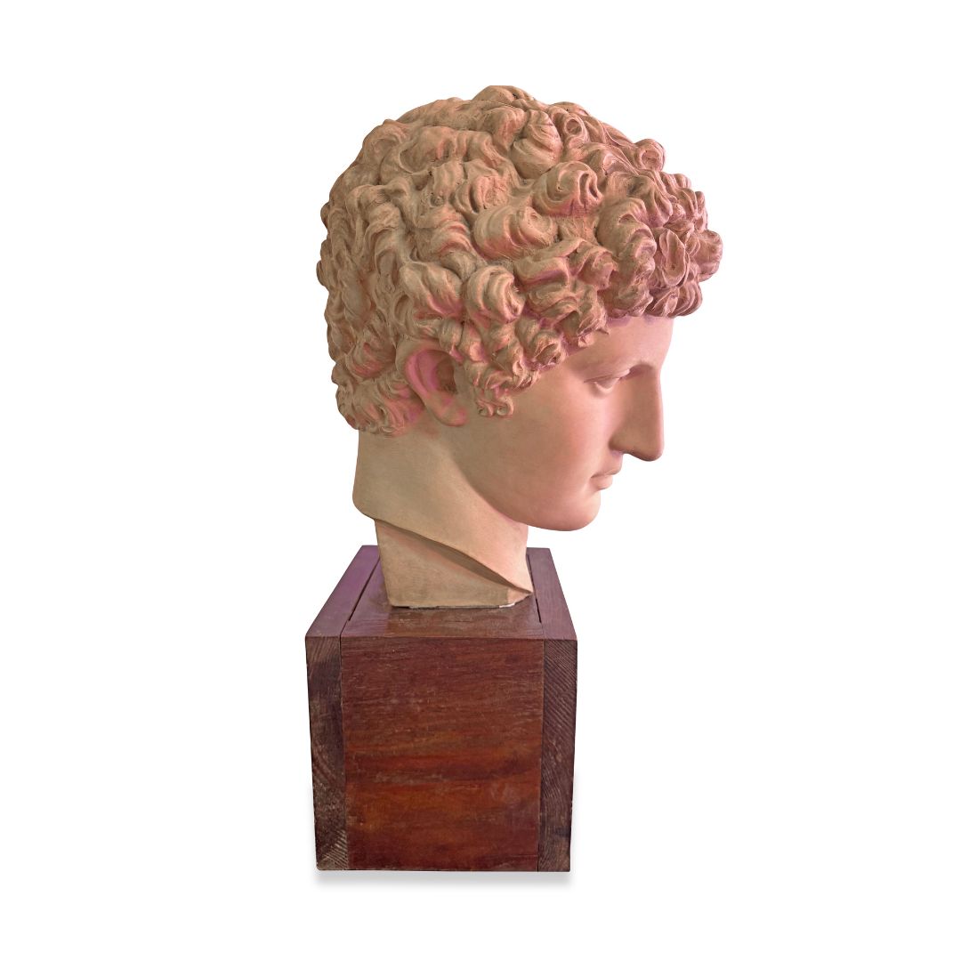 Vintage Terracotta Bust