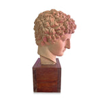 Vintage Terracotta Bust