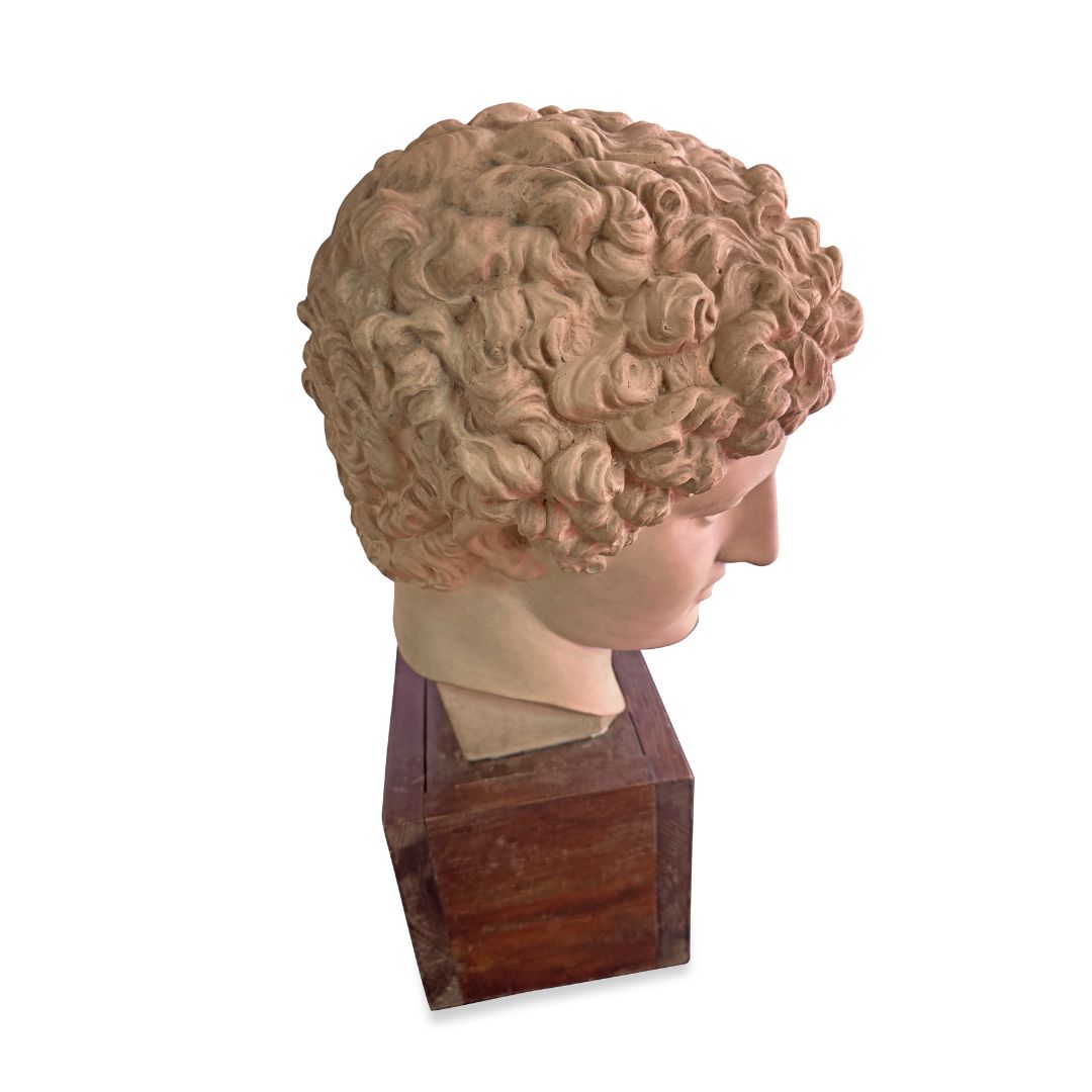 Vintage Terracotta Bust